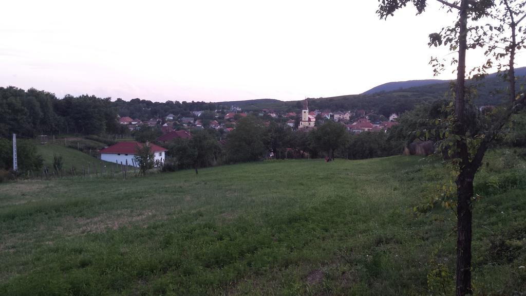 Ferienwohnung Domboldal Vendeghaz Noszvaj Exterior foto